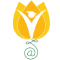 Next Learning Platform